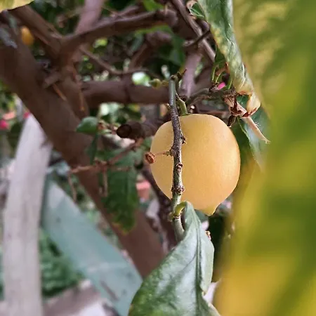 Apartment Seaside 2 Emborios