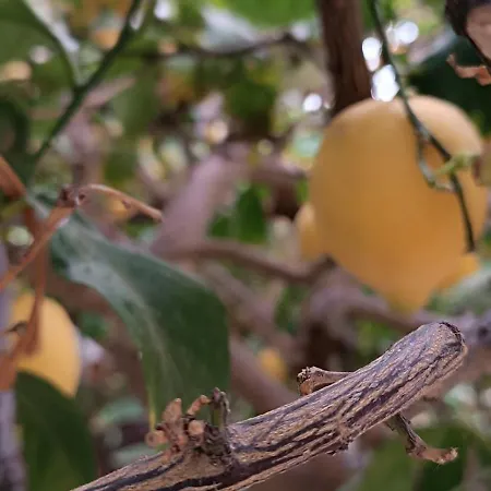 Seaside 2 Apartment Emborios