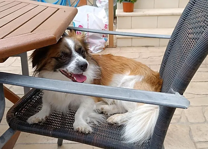 Seaside 2 Apartamento Emborios