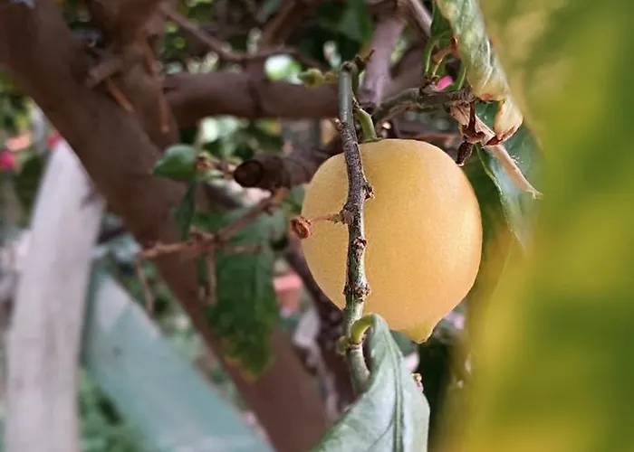 Apartamento Seaside 2 Emborios