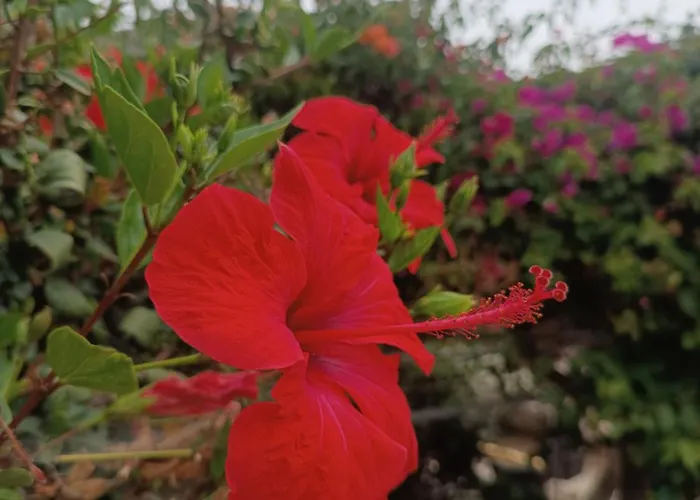 Apartamento Seaside 2