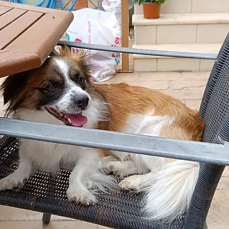 Seaside 2 アパート Emborios