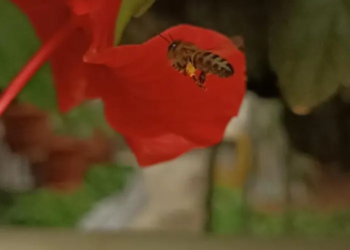 Seaside 2 شقة Emborios