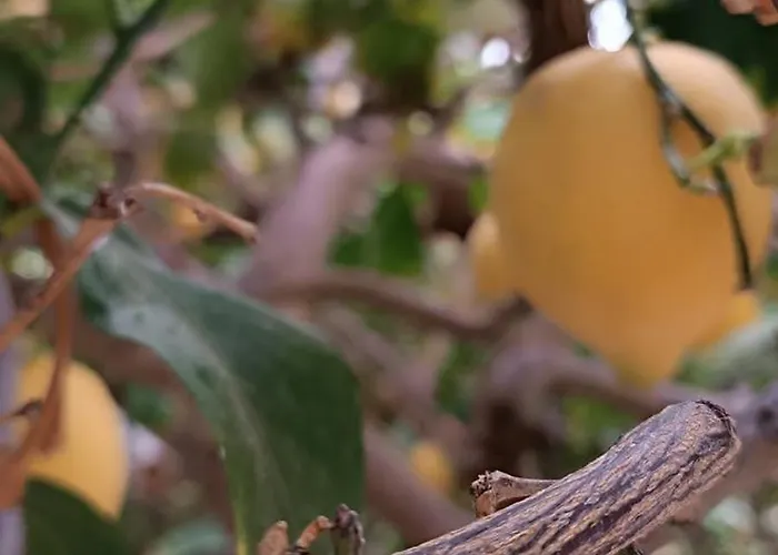 Seaside 2 شقة Emborios