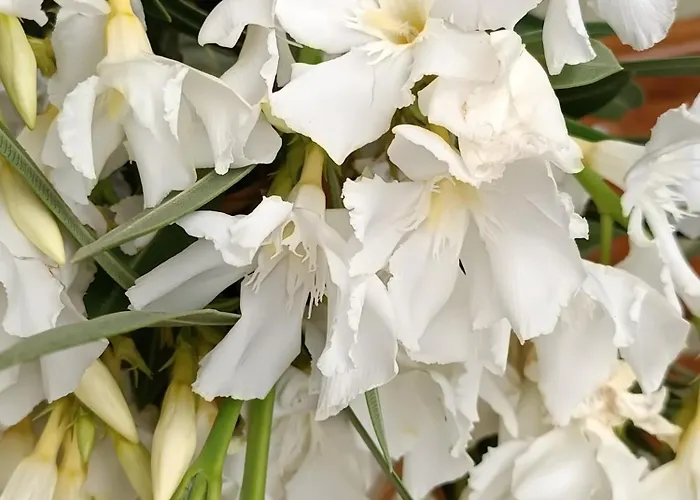 Seaside 2 شقة Emborios